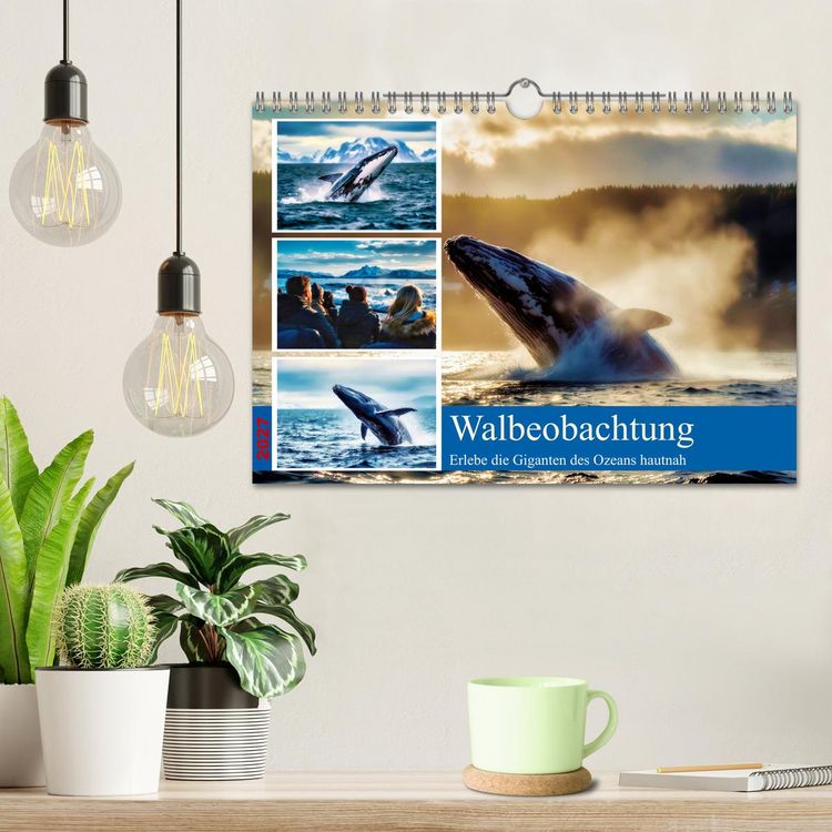 Produktbild: Whale Watching (Wandkalender 2027 DIN A4 quer), CALVENDO Monatskalender