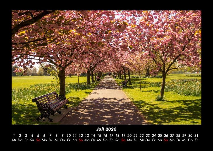 Produktbild: B&auml;ume 2026 Fotokalender DIN A3