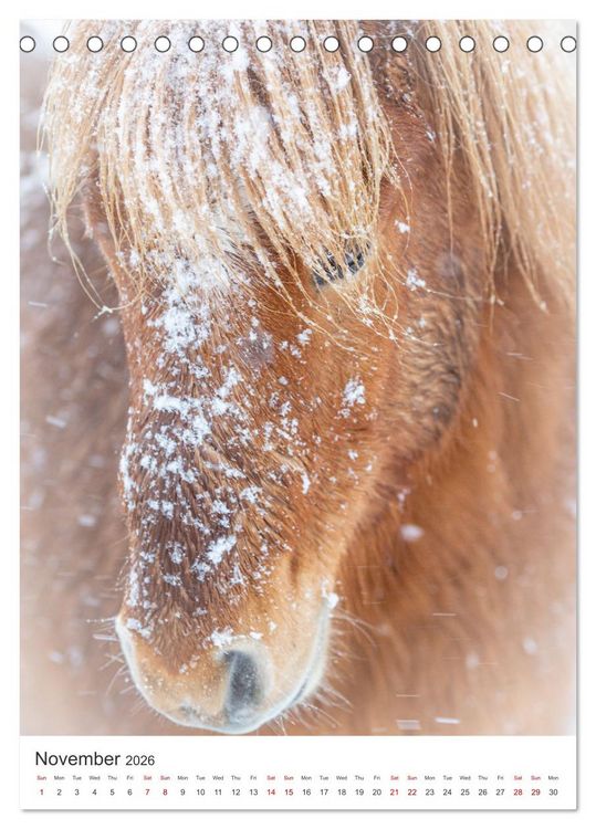 Produktbild: Magic of Iceland - nature photography (Desk Calendar 2026 DIN A5 portrait), CALVENDO 12 Month DeskCalendar