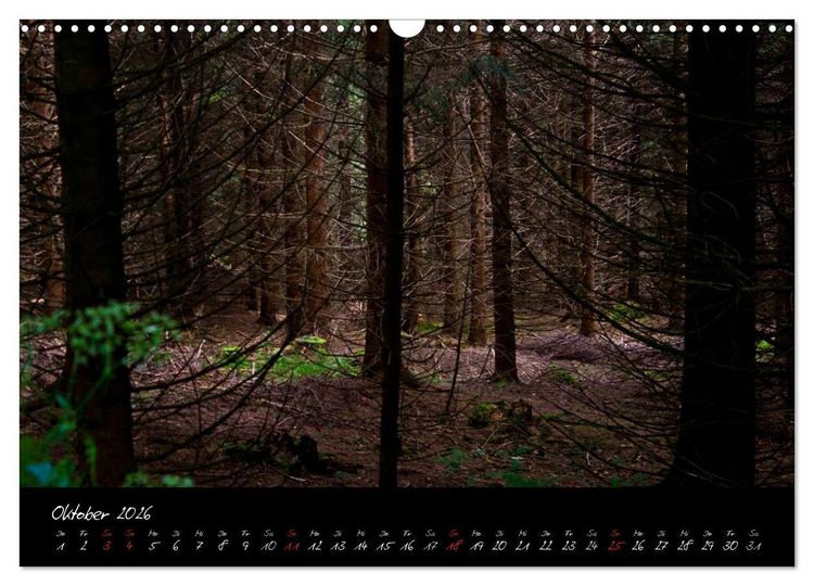 Produktbild: Wald (Wandkalender 2026 DIN A3 quer), CALVENDO Monatskalender