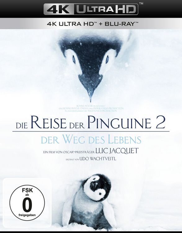 Produktbild: Die Reise der Pinguine 2 - Der Weg des Lebens (4K Ultra HD) (+ Blu-ray 2D)