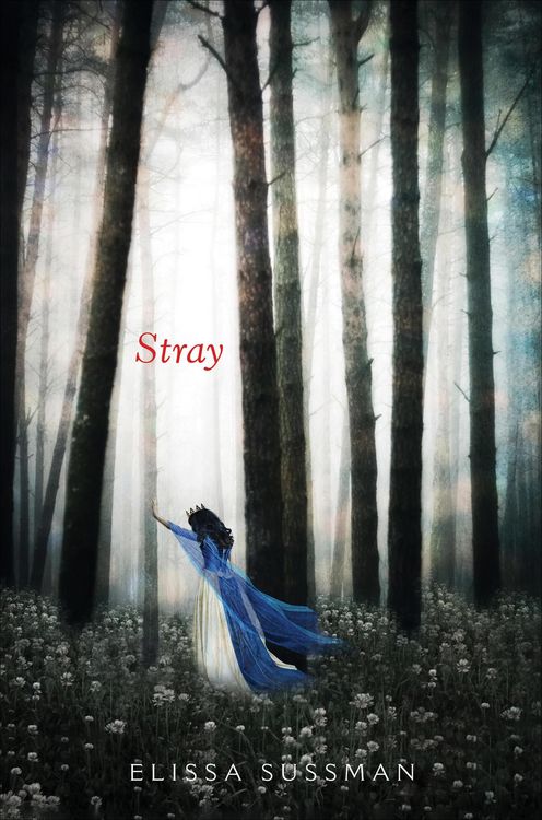 Produktbild: Stray