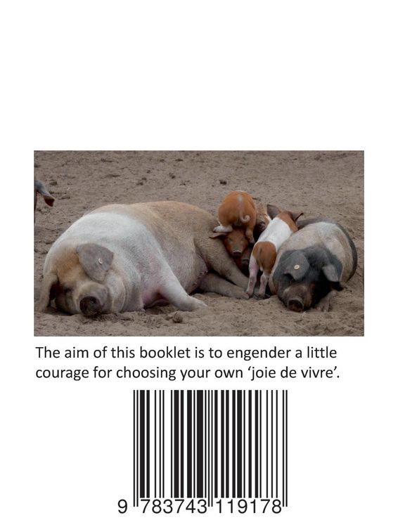 Produktbild: Happiness of the Soul and of Swine