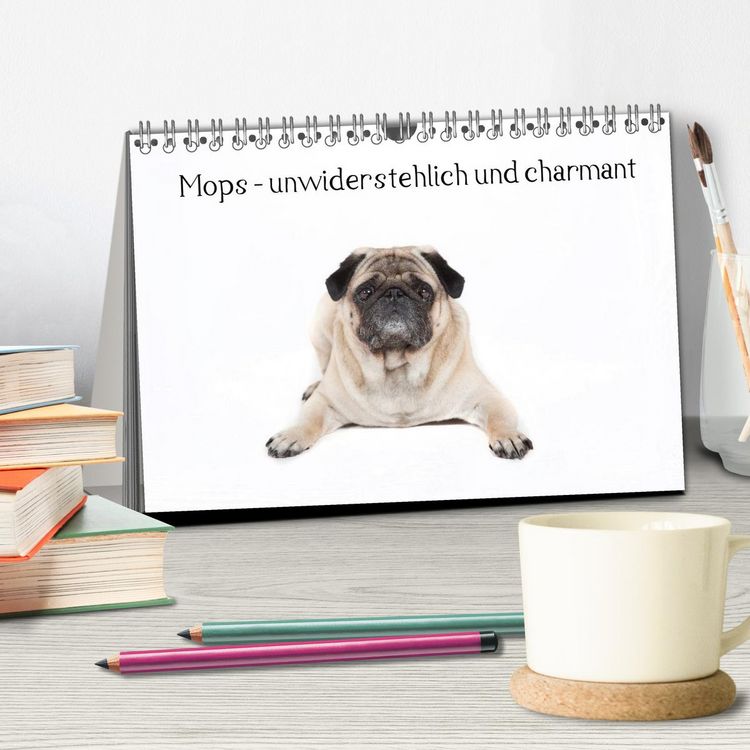 Produktbild: Mops - unwiderstehlich und charmant (Tischkalender 2026 DIN A5 quer), CALVENDO Monatskalender