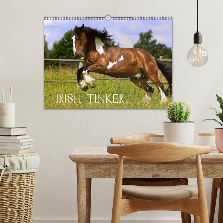 Produktbild: Irish Tinker (Wandkalender 2026 DIN A3 quer), CALVENDO Monatskalender