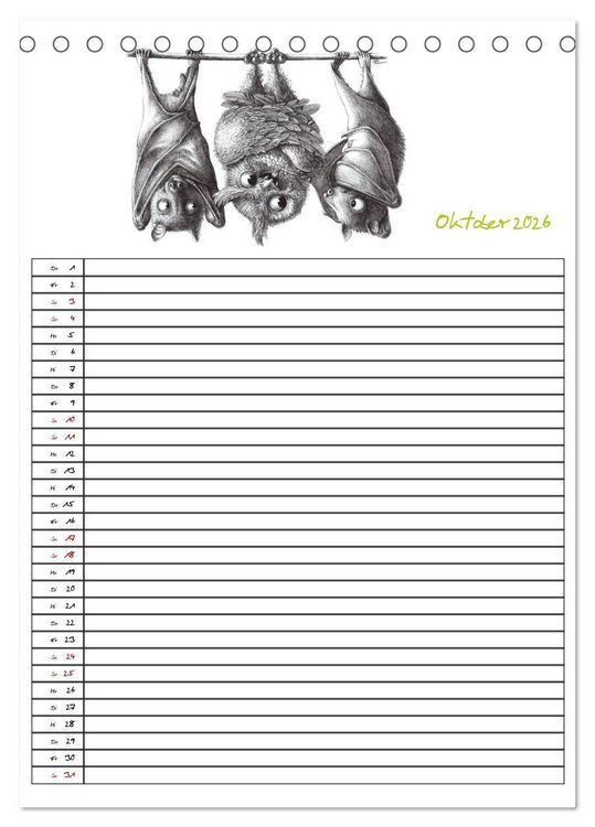 Produktbild: Tieronisch Eulen (Tischkalender 2026 DIN A5 hoch), CALVENDO Monatskalender