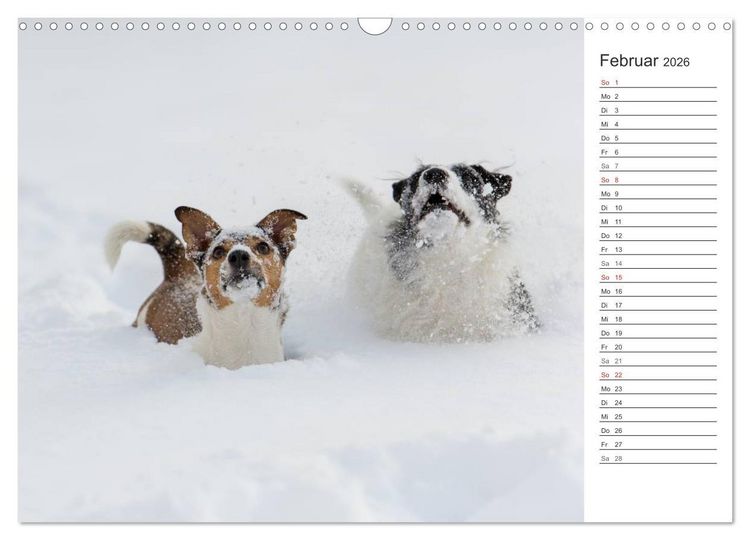 Produktbild: Emotionale Momente: Wild und Jagd. (Wandkalender 2026 DIN A3 quer), CALVENDO Monatskalender
