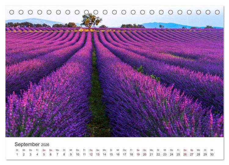 Produktbild: Tr&auml;ume aus Lavendel, Provence in Rosa bis Lila (Tischkalender 2026 DIN A5 quer), CALVENDO Monatskalender