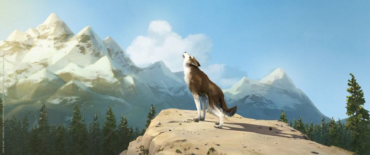 Produktbild: Die Abenteuer von Wolfsblut