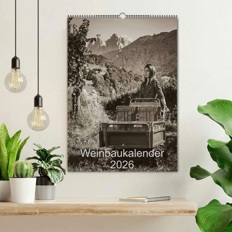 Produktbild: Weinbaukalender 2026 (Wandkalender 2026 DIN A2 hoch), CALVENDO Monatskalender
