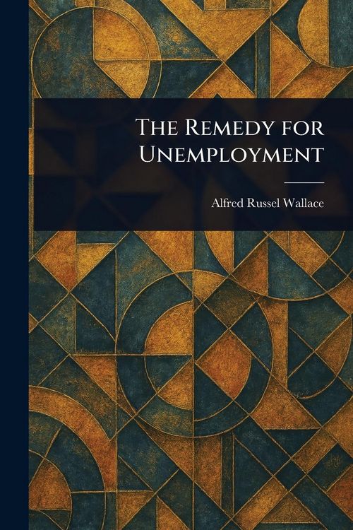 Produktbild: The Remedy for Unemployment