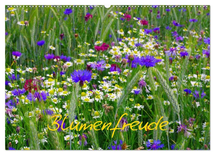 Produktbild: Blumenfreude (Wandkalender 2026 DIN A2 quer), CALVENDO Monatskalender