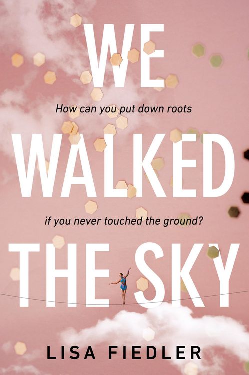 Produktbild: Fiedler, L: We Walked the Sky