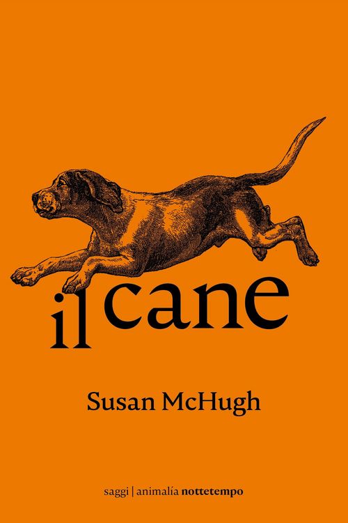Produktbild: Il cane