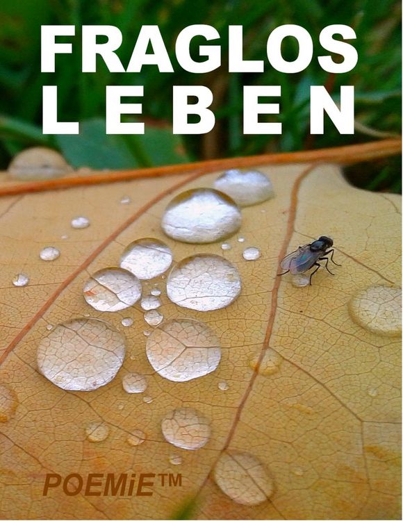 Produktbild: Fraglos LEBEN