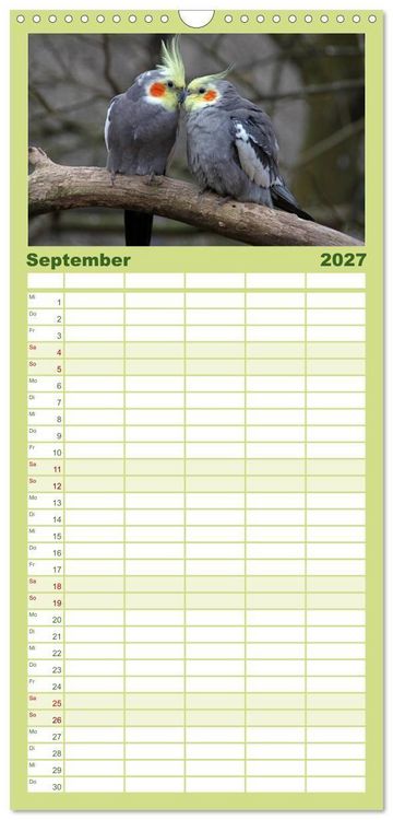Produktbild: Familienplaner 2027 - Nymphensittiche mit 5 Spalten (Wandkalender, 21 x 45 cm) CALVENDO