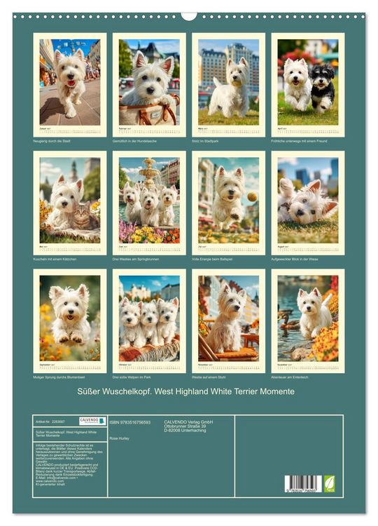 Produktbild: S&uuml;&szlig;er Wuschelkopf. West Highland White Terrier Momente (Wandkalender 2027 DIN A2 hoch), CALVENDO Monatskalender