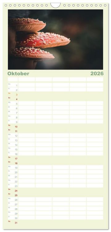 Produktbild: Familienplaner 2026 - Die Welt der Fliegenpilze mit 5 Spalten (Wandkalender, 21 x 45 cm) CALVENDO