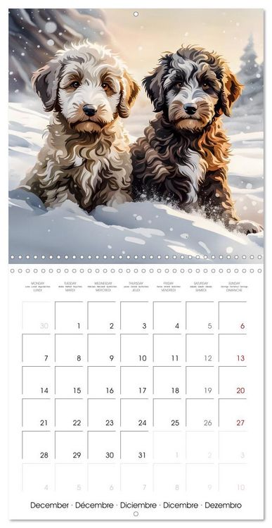 Produktbild: Aussiedoodle - Dogs to love (Wall Calendar 2026 12 &times; 12 Inch) CALVENDO 12 Month Wall Calendar
