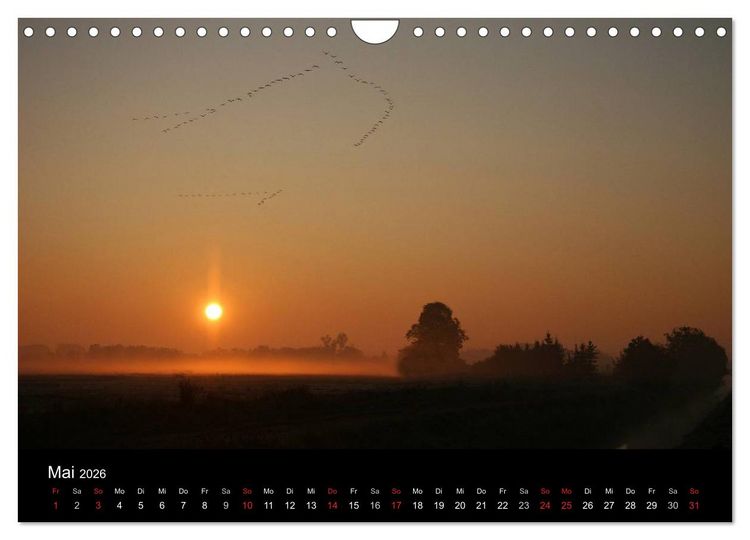 Produktbild: Kranich-Land Brandenburg (Wandkalender 2026 DIN A4 quer), CALVENDO Monatskalender