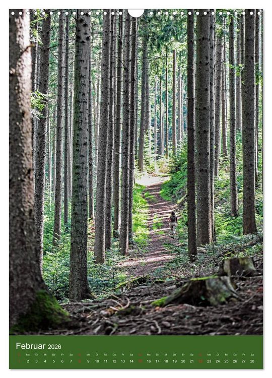 Produktbild: Schwarzwald Nord (Wandkalender 2026 DIN A3 hoch), CALVENDO Monatskalender