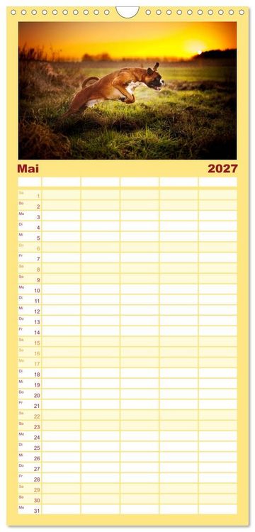 Produktbild: Familienplaner 2027 - Deutscher Boxer mit 5 Spalten (Wandkalender, 21 x 45 cm) CALVENDO