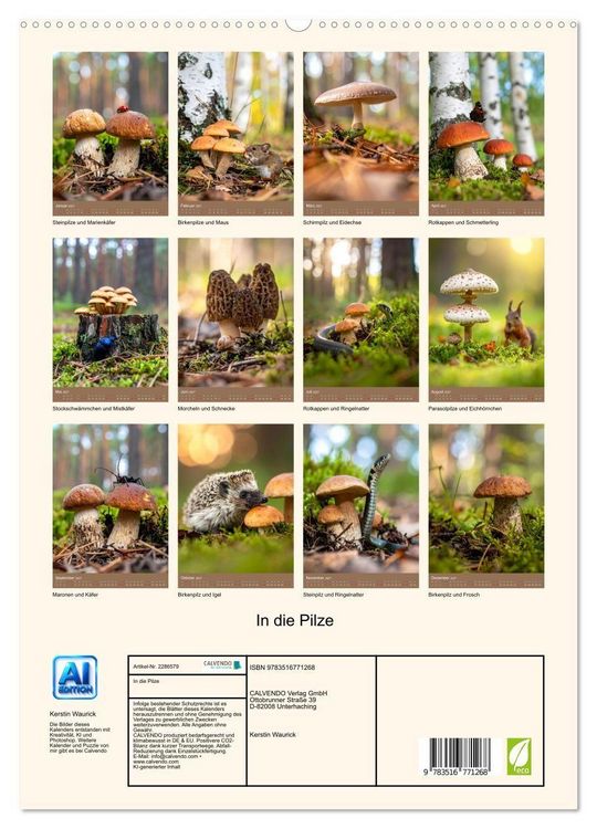 Produktbild: In die Pilze (hochwertiger Premium Wandkalender 2027 DIN A2 hoch), Kunstdruck in Hochglanz