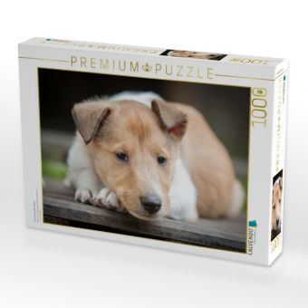 Produktbild: CALVENDO Puzzle Kurzhaarcollie-Welpe | 1000 Teile Lege-Gr&ouml;&szlig;e 64x48cm Foto-Puzzle f&uuml;r gl&uuml;ckliche Stunden