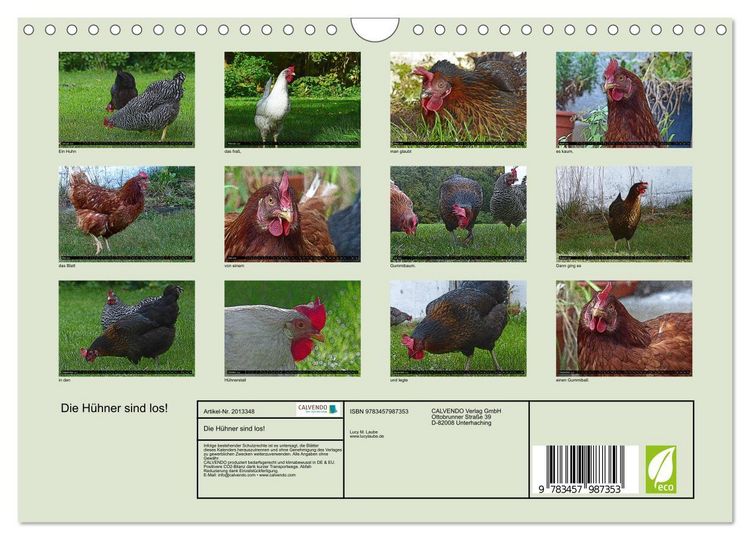 Produktbild: Die H&uuml;hner sind los! (Wandkalender 2026 DIN A4 quer), CALVENDO Monatskalender