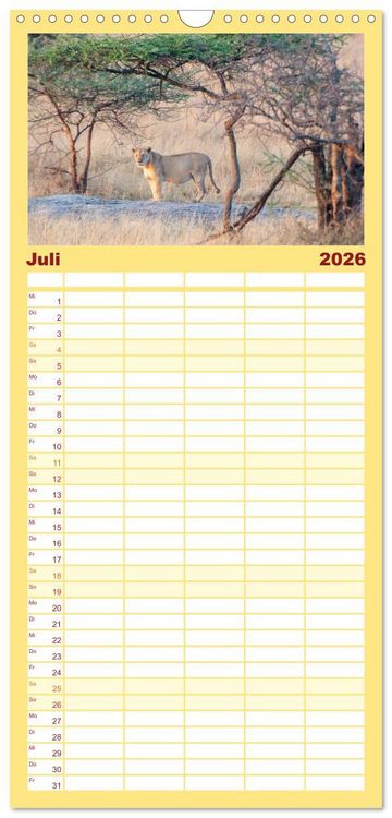 Produktbild: Familienplaner 2026 - Die Magie der K&ouml;nige der Tiere mit 5 Spalten (Wandkalender, 21 x 45 cm) CALVENDO