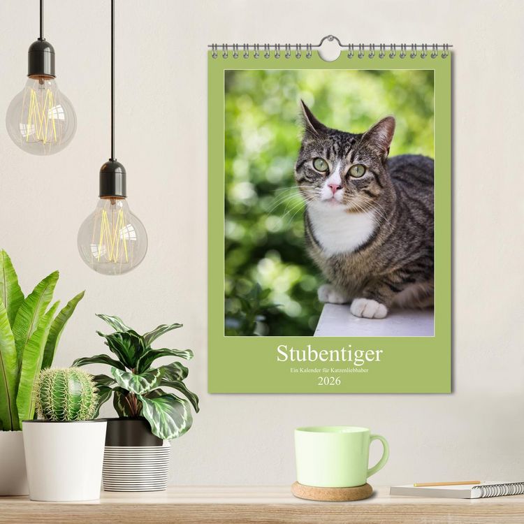 Produktbild: Stubentiger (Wandkalender 2026 DIN A4 hoch), CALVENDO Monatskalender