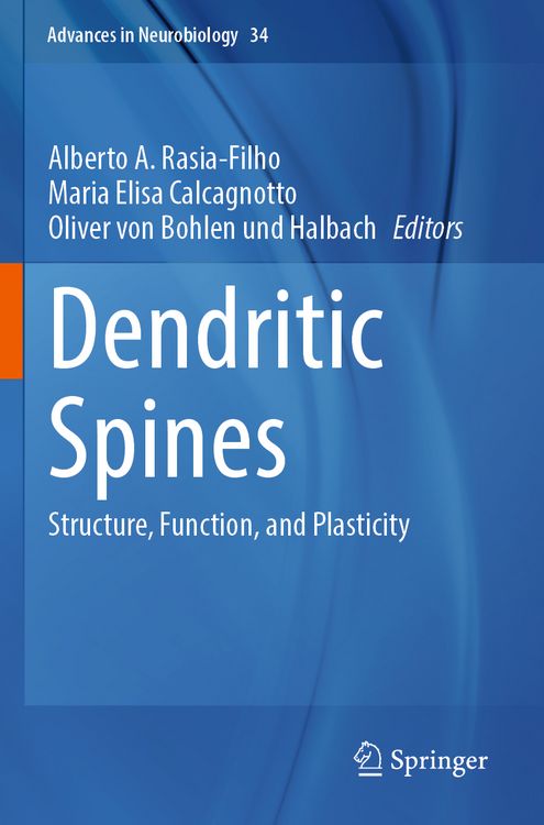 Produktbild: Dendritic Spines