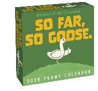 Produktbild: Zirinis, T: Handsoffmydinosaur 2025 Day-To-Day Calendar