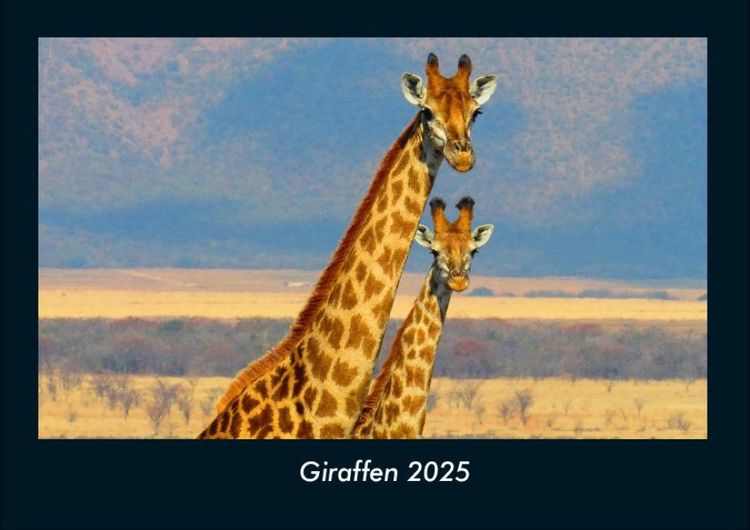 Produktbild: Giraffen 2025 Fotokalender DIN A4