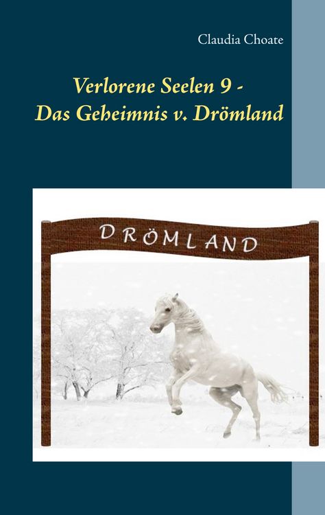 Produktbild: Verlorene Seelen 9 - Das Geheimnis von Dr&ouml;mland