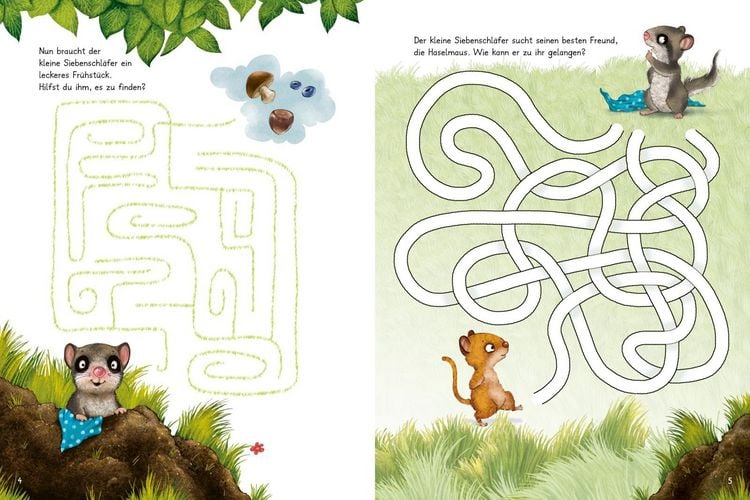 Produktbild: Der kleine Siebenschl&auml;fer: Zeig mir den Weg durchs Labyrinth!