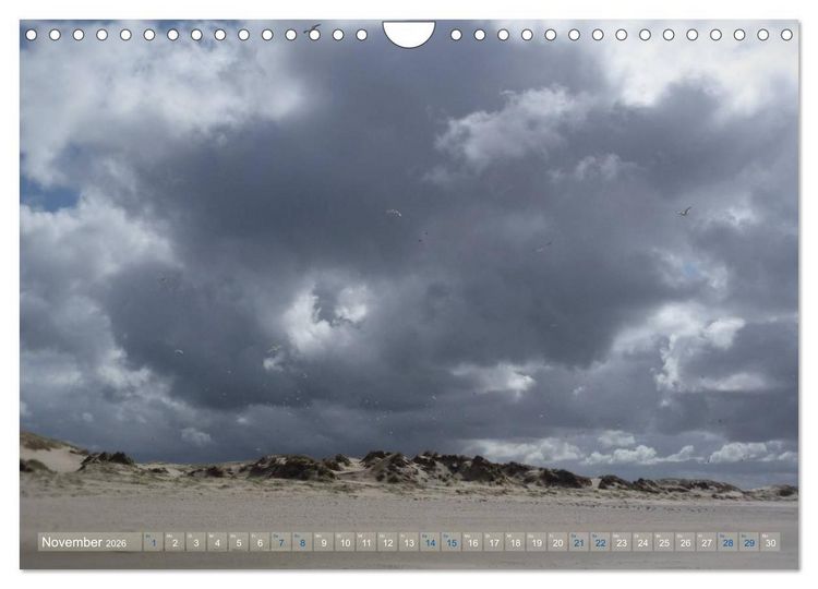 Produktbild: Texel. Neue D&uuml;nen (Wandkalender 2026 DIN A4 quer), CALVENDO Monatskalender