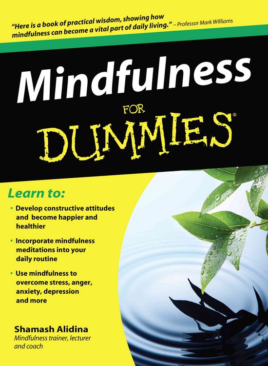 Produktbild: Mindfulness for Dummies