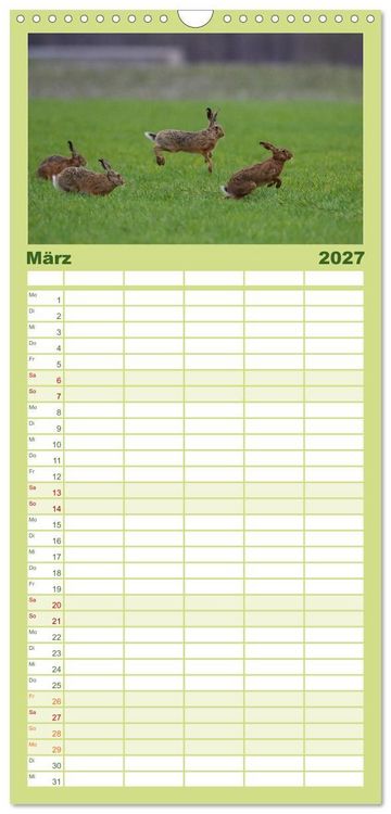 Produktbild: Familienplaner 2027 - Feldhasen in H&ouml;chstform mit 5 Spalten (Wandkalender, 21 x 45 cm) CALVENDO