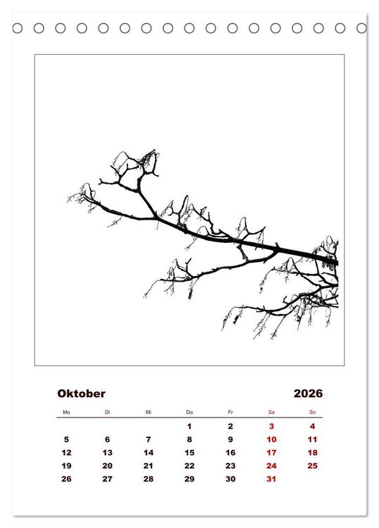 Produktbild: LignoGrafica - Muster und Strukturen der B&auml;ume (Tischkalender 2026 DIN A5 hoch), CALVENDO Monatskalender