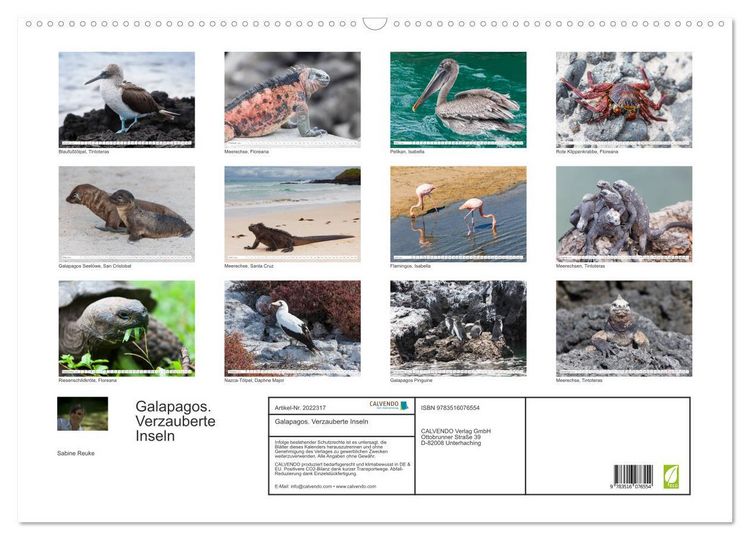 Produktbild: Galapagos. Verzauberte Inseln (Wandkalender 2026 DIN A2 quer), CALVENDO Monatskalender