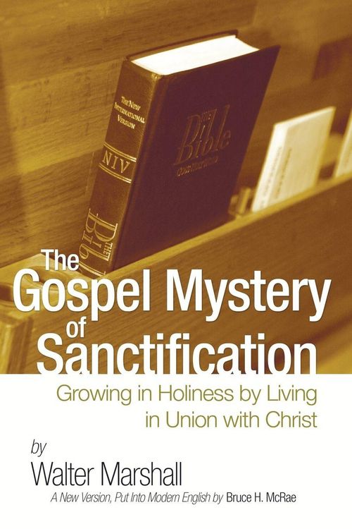 Produktbild: The Gospel Mystery of Sanctification