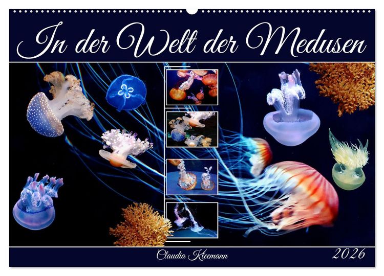 Produktbild: In der Welt der Medusen (Wandkalender 2026 DIN A2 quer), CALVENDO Monatskalender