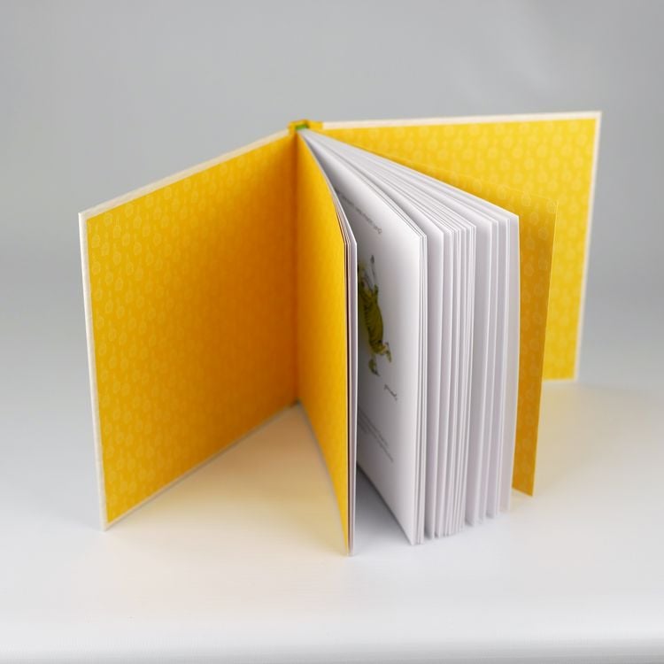 Produktbild: Herr Janosch, wie feiert man sich selbst?