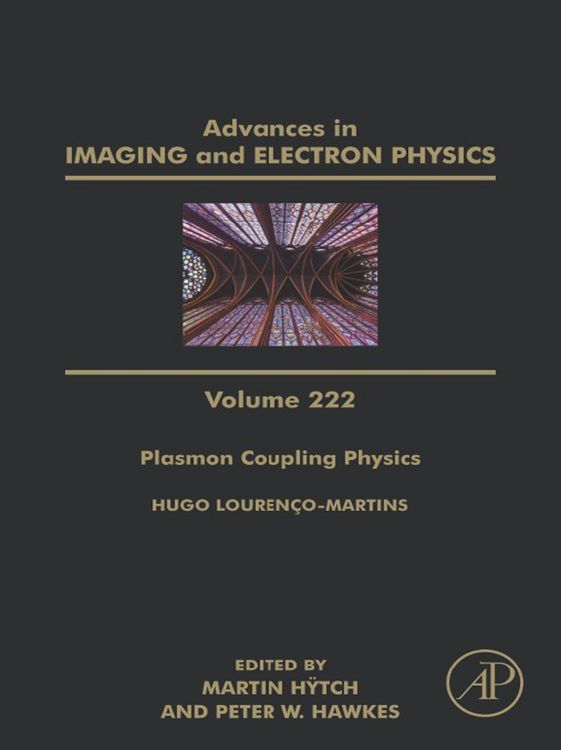 Produktbild: Plasmon Coupling Physics