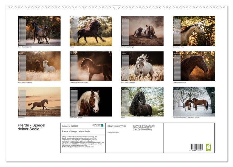 Produktbild: Pferde - Spiegel deiner Seele (Wandkalender 2027 DIN A2 quer), CALVENDO Monatskalender