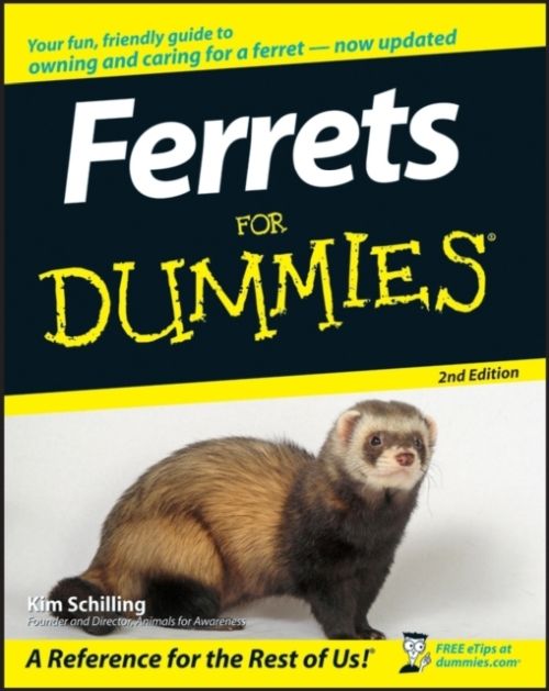 Produktbild: Ferrets For Dummies