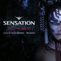 Produktbild: Sensation Amsterdam 2013