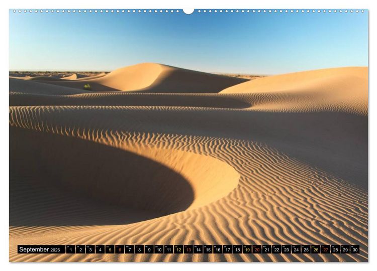 Produktbild: D&uuml;nen. Diamanten der W&uuml;ste (Wandkalender 2026 DIN A2 quer), CALVENDO Monatskalender