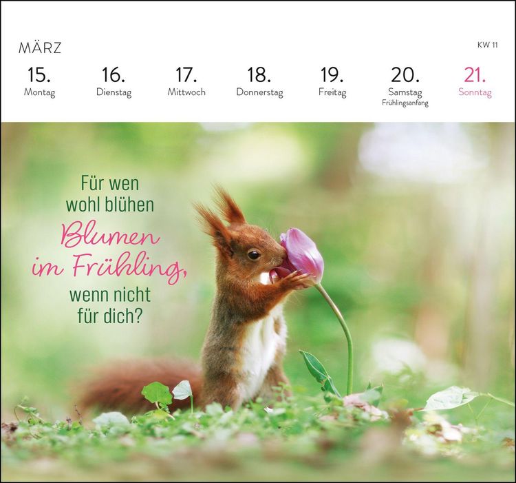 Produktbild: Postkartenkalender 2027: Kleine Gl&uuml;cksbringer f&uuml;r dein Jahr